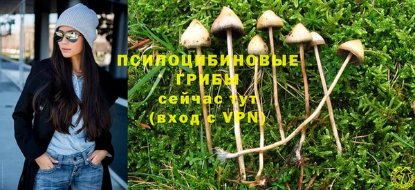 спиды Арсеньев