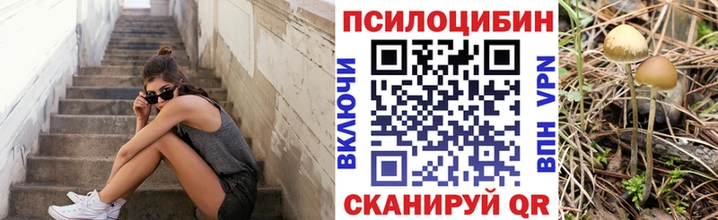 Псилоцибиновые грибы прущие грибы  Курган 
