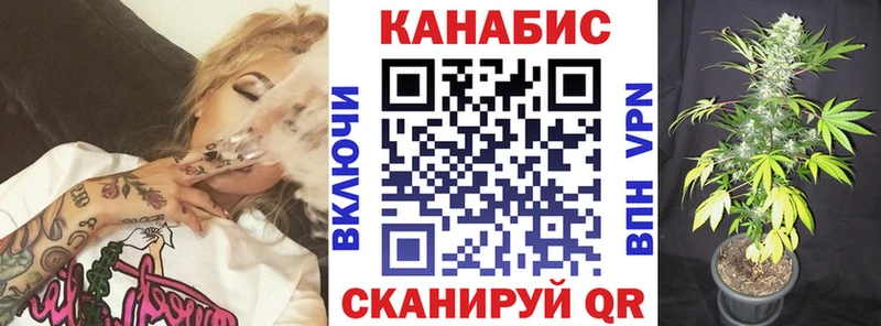 дарк нет Telegram  Курган  Конопля сатива 